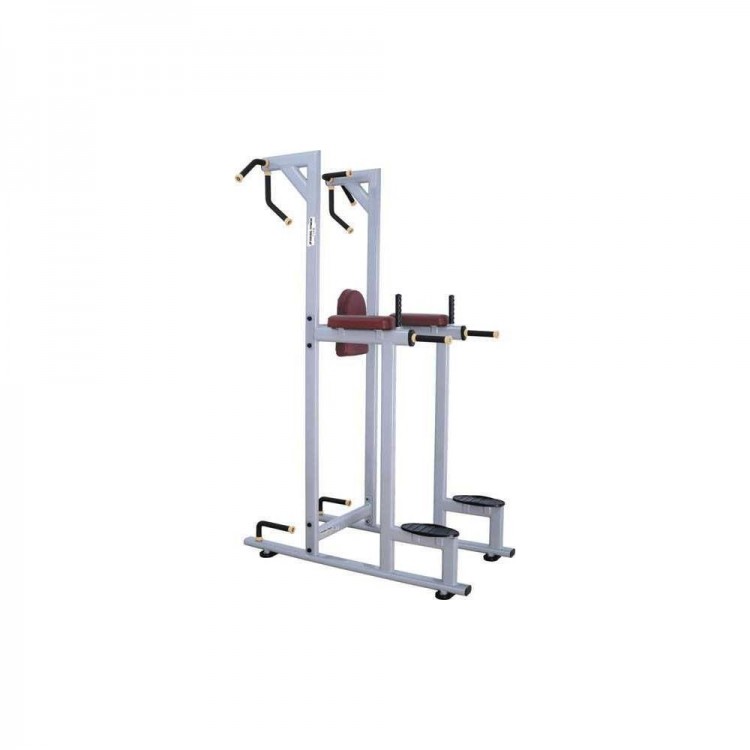 027 VERTICAL KNEE RAISE